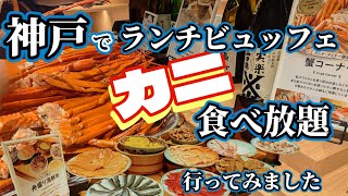 【カニが食べられる！神戸ポートタワーホテルのランチビュッフェ】に行ってきました [upl. by Halihs586]