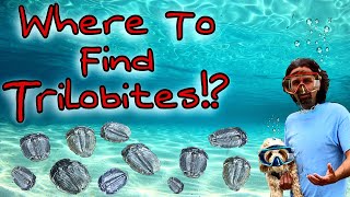 Trilobite Fossil Hunting Extravaganza [upl. by Ileak143]