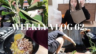 WEEKLY VLOG 62  “农场计划” 🥑新水桶包开箱🎁亲子丼教学🍳把涤纶看哭的电影🎬 [upl. by Gagliano]