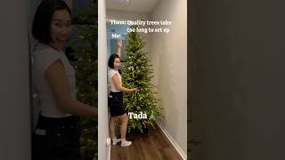 Setting up our Christmas tree in WORLD RECORD time [upl. by Esinaj]