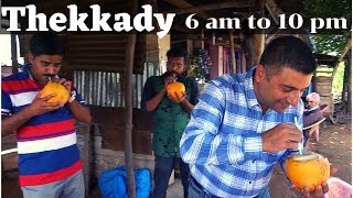 A day at Thekkady Kerala Episode 6 Periyar National Park Things to do in Thekkady [upl. by Zelle]