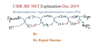 CSIR JRF NET ExplanationDec2019Phosphoenolpuryvate Sugar phosphotransferase system PTS [upl. by Akerdnuhs]