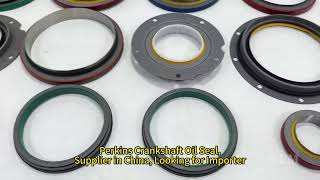 New Perkins Crankshaft Oil Seals for All Models – Reliable Quality amp Perfect Fit [upl. by Ikceb261]