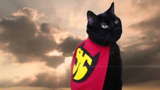 Super Hero Cat Official Music Video  N2 the Talking Cat S2 Ep18 [upl. by Lammond]