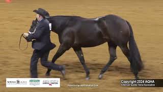 Select Showmanship  2024 AQHA World Championship Show [upl. by Atiluap209]