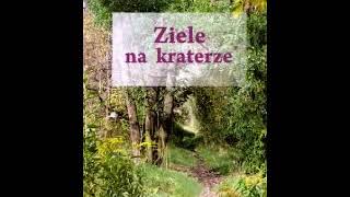 Ziele na kraterze  Melchior Wańkowicz  12 Audiobook PL [upl. by Valentijn]