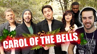 Pentatonix REACTION Carol of the Bells [upl. by Iohk233]