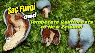 Sac Fungi of New Zealand [upl. by Redleh]