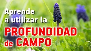 Aprende a utilizar la PROFUNDIDAD DE CAMPO [upl. by Cirillo898]