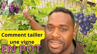 Comment avoir du raisin une en pot [upl. by Ahsiken734]