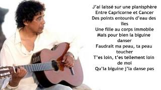 Laurent Voulzy Jai le coeur grenadine  Paroles Lyrics [upl. by Antonella]