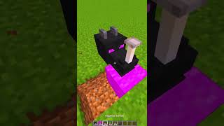 DEAD ENDER DRAGON HEAD IN MINECRAFT shorts 2023 viral [upl. by Faxun]