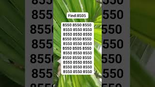 Find8505 brainteaser search find [upl. by Garvy299]