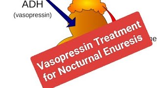 Drug Treatment for Nocturnal Enuresis Vasopressin [upl. by Attenreb]