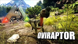 Taming A Oviraptor  Ark Survival Evolved  The Island [upl. by Akahs]