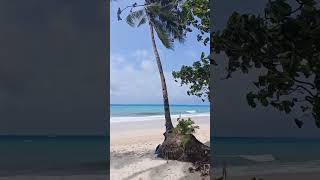 BORACAY PHILIPPINES NOW👀OCT252024 shorts beach vlogs [upl. by Burnsed835]