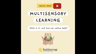 Multisensory Learning [upl. by Ermey]