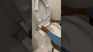 Easiest Bidet Installation  LUXE Bidet [upl. by Naasar]