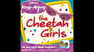 The Cheetah Girls  Cinderella  Disney Karaoke Series  Disney Sing Along [upl. by Gill]