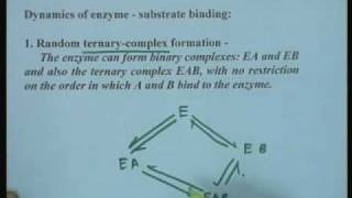 Lecture  12 Kinetics of Bi substrate Enzyme [upl. by Niar]