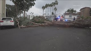 Weather Impact Alert  Wind rain high surf for San Diego County [upl. by Jariv436]