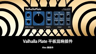 Valhalla Plate 平板混响插件  各种材质带来不同的色彩 [upl. by Corliss]