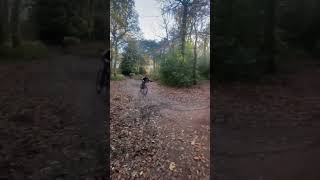 Biggest jumps in the woods Collab with Mckenziemtb mtb jumps [upl. by Gridley529]