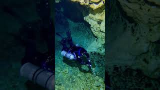 Diving in Ginnie Springs ginnie cavediving [upl. by Rik113]