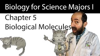 Chapter 5 – The Structure and Function of Large Biological Molecules [upl. by Ellebanna]