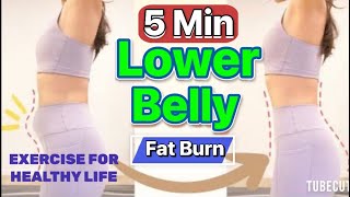 5 Minutes Lower Belly Fat Burn Exercises 30 days Challenge [upl. by Blen]