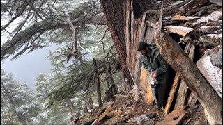 Building winter Survival Shelter Snowfall In NightBushcraft [upl. by Ayardna]