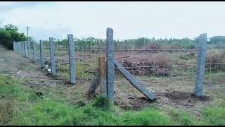 Low Cost Barbed Wire Fencing for farm lands with good level of protection from domestic animals [upl. by Nogras442]