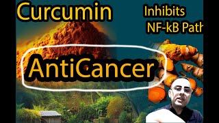 Curcumin Turmeric N1 Anticancer Supplement [upl. by Darrel827]