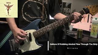 Gallons Of Rubbing Alcohol Flow Through The Strip／Nirvana cover [upl. by Sonahpets]