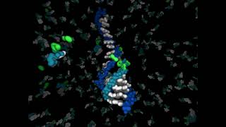 Livets oprindelse  RNA kopierer sig selv [upl. by Luthanen]