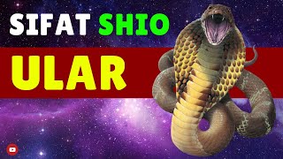 Kamu 🐍 SHIO ULAR Simak WATAK amp SIFAT Shio Ular di Video ini [upl. by Arly174]