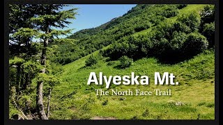 Alyeska North Face Trail [upl. by Lenno]