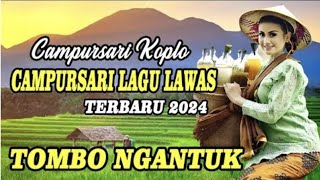 Koplo Campursari paling enak didengar tombo kesel [upl. by Nunes]