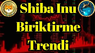 Kripto Sesli Haber  Shiba Inu Biriktirme Trendi 0000054 Doların Üzerindeki Ralliyi Gösteriyor [upl. by Aisatal]