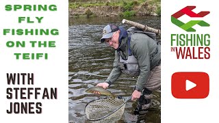 Spring Fly Fishing on The River Teifi West Wales [upl. by Doyle522]