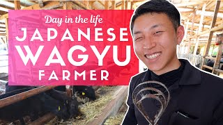 Day in the Life of a Japanese Wagyu Beef Farmer [upl. by Aubry]