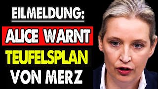 Dringende Warnung der AfD vor dem teuflischen Plan von Merz [upl. by Vidda]