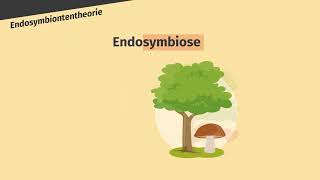 Endosymbiontentheorie – Entstehung der Chloroplasten und Mitochondrien einfach erklärt  sofatutor [upl. by Berky]