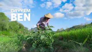 Harvesting vegetables that I planted last year  Healthy food from my garden [upl. by Laon]