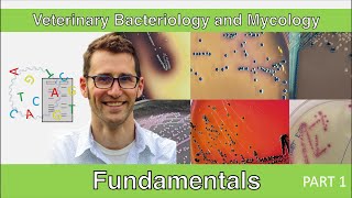 Fundamentals of Microbiology  Part 1 [upl. by Anauqcaj]