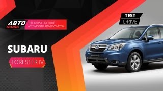 Тестдрайв Subaru Forester IV Наши тесты [upl. by Nosemaj837]