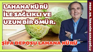 SAĞLIKLI VE UZUN BİR ÖMÜR İÇİN LAHANA KÜRÜ lahana ibrahimsaraçoğlu [upl. by Triplett]