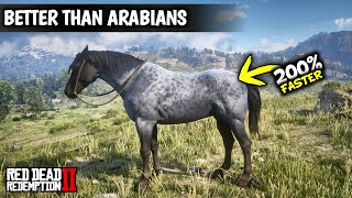 5 Horses Faster than Arabians amp Get them as Arthur Early  Red dead redemption 2 [upl. by Millisent433]