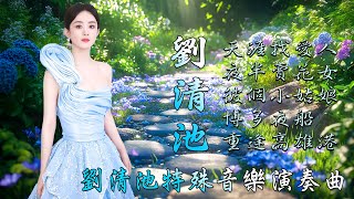 劉清池懷念金曲 ✨ 天涯找愛人  夜半賣花女  彼個小姑娘 ✨ 電子琴電吉他演奏 環繞立體音效 ✨ 40首 劉清池特殊金曲輕音樂 🍀 30首適合輕鬆秋日早晨的台灣老歌 🍀 老金曲很好聽 [upl. by Honoria]