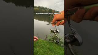 Link in Bio🎣 angeln fishing viralvideo [upl. by Benge]